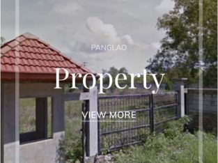 Land at Panglao Island, Bohol, Philippines