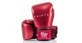 Fairtex “Metallic” Boxing Gloves – BGV22