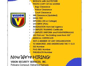 Urgent Hiring of Vision Security guards