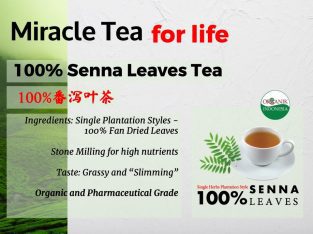Miracle Tea for Life: Senna Leaves Tea