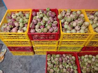 Best Quality Mangosteen from Indonesia