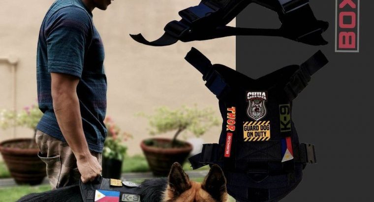 Custom Dog Harness