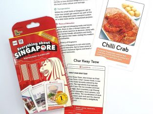 Everything about Singapore Learning Cards