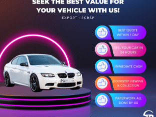 Seek the best value for your vehicle today