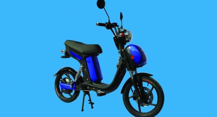 Electric Bike rental Siem Reap