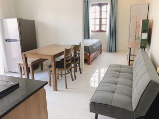 For rent new serviced apartment in Thao Dien ward