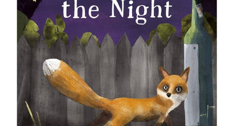 A Science Storybook About Light And Dark: Fox In The Night