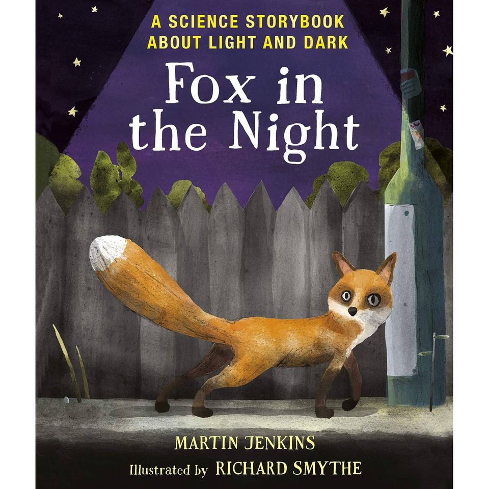 A Science Storybook About Light And Dark: Fox In The Night