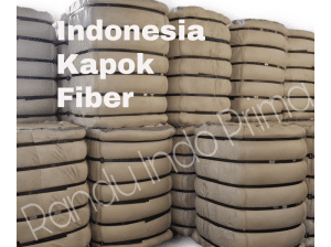 kapok fiber Indonesia
