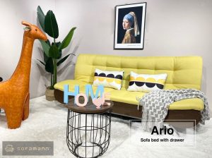 Ario Sofa Bed with Drawer