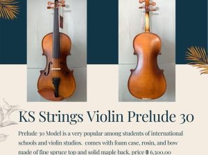 K.S. Strings Violin Prelude 30
