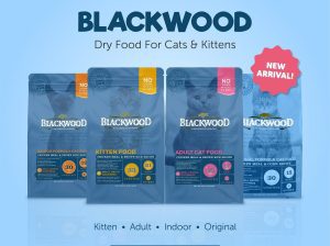 BLACKWOOD dry food for cats and kittens
