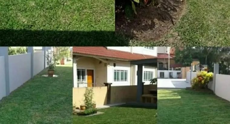 Landscape Services Brunei