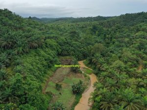 Sabah Lahad Datu (Nearby Town) Palm Oil Land (Mineral) CL370acs for sale