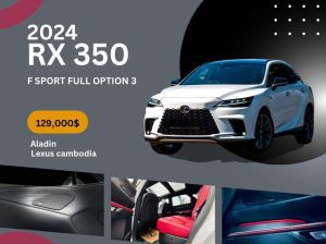 2024 RX 350 FULL OPTION 3 (the most modern, 5 cameras)