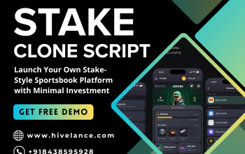 Ready-Made Stake Clone Software for iGaming Businesses