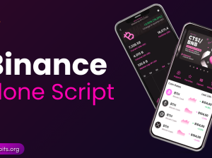 Binance Clone Script | BidBits