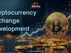 Top Cryptocurrency Exchange Development Services provider In USA