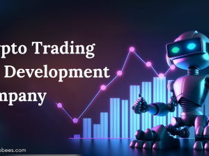 Crypto Trading Bot Development with API Integration