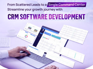 CRM Software Script Cost for Businesses Needing On-Time Deployment